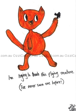 Cat drawings by Emily from Geelong, VIC | Australian National Cat Magazine - Ozzi Cat