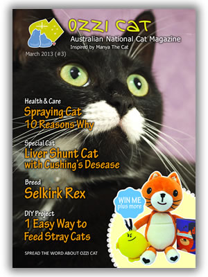 Issue #3 (Autumn 2013) - Ozzi Cat Magazine for Cat Lovers and Cat Parents