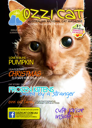 Ozzi Cat Magazine Subscription - Published Issue Example