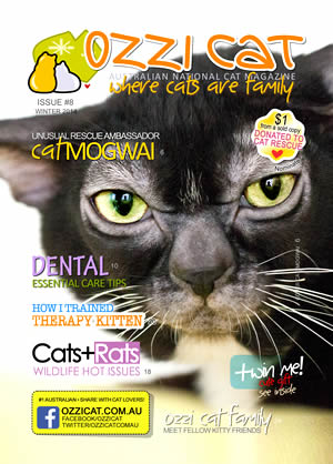 Issue #8 (Winter 2014) - Ozzi Cat Magazine for Cat Lovers and Cat Parents