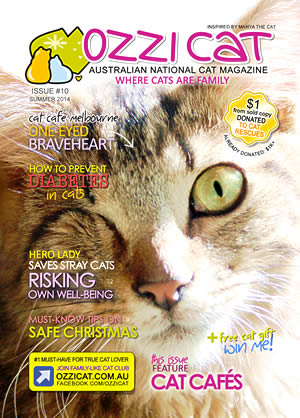 Issue #10 (Summer 2014) - Ozzi Cat Magazine for Cat Lovers and Cat Parents