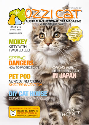 Issue #13 (Spring 2015) - Ozzi Cat Magazine for Cat Lovers and Cat Parents