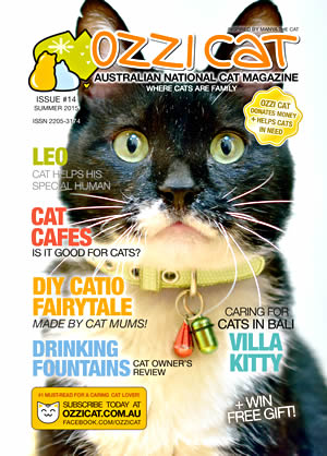 Issue #14 (Summer 2015) - Ozzi Cat Magazine for Cat Lovers and Cat Parents