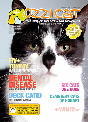 Issue #15 (Autumn 2016) - Ozzi Cat Magazine for Cat Lovers and Cat Parents