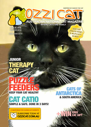 Issue #16 (Winter 2016) - Ozzi Cat Magazine for Cat Lovers and Cat Parents