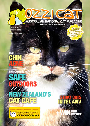 Issue #17 (Spring 2016) - Ozzi Cat Magazine for Cat Lovers and Cat Parents