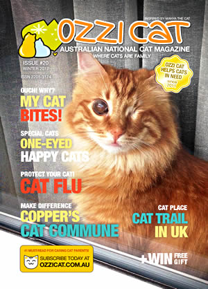 Ozzi Cat Magazine Subscription - Published Issue Example