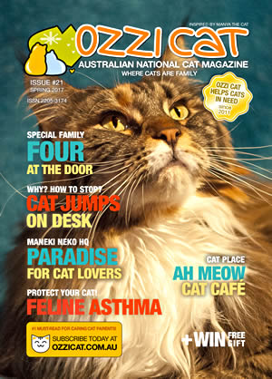 Issue #21 (Spring 2017) - Ozzi Cat Magazine for Cat Lovers and Cat Parents