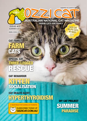 Issue #22 (Summer 2017) - Ozzi Cat Magazine for Cat Lovers and Cat Parents