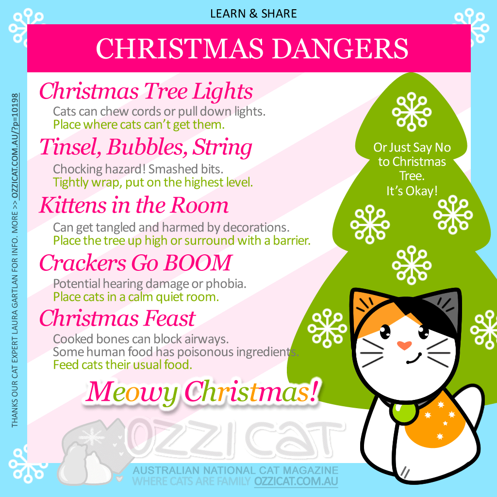 Christmas Dangers for Cats: Safe Christmas