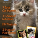 Ozzi Cat Magazine Issue #2 (Printed Copy)