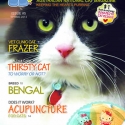 Ozzi Cat Magazine Issue #5 (Printed Copy)