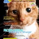 Ozzi Cat Magazine Issue #6 (Printed Copy) - (SOLD OUT)