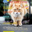 Ozzi Cat Magazine Issue #7 (Printed Copy)