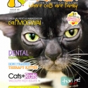 Ozzi Cat Magazine Issue #8 (Printed Copy)
