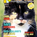 Ozzi Cat Magazine Issue #17 (Printed Copy) - (SOLD OUT)