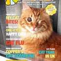 Ozzi Cat Magazine Issue #20 (Printed Copy) - (SOLD OUT)