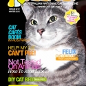 Ozzi Cat Magazine Issue #12 (Printed Copy)