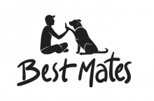 Best Mates: Free Veterinary Care & Emergency Cat Boarding For Homeless And People In Need