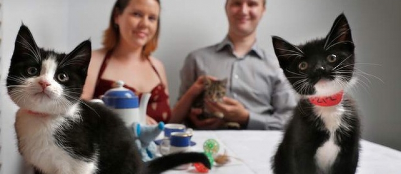 Melbourne Cat Cafe Opens in July! 2 Reasons Why We’re Proud of Them