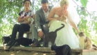 Wedding With Cats: Couple Got Married At Cat House On The Kings Cat Sanctuary