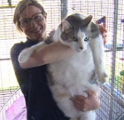 Giant 15kg Cat Surrendered to Geelong Animal Welfare Society