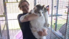 Giant 15kg Cat Surrendered to Geelong Animal Welfare Society