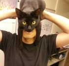 How to Look Like Batman Using A Cat? Cat Photo Fun – Participate!