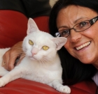 Miracle Re-Uniting: Woman Recognised Her Injured UK Cat on Facebook by Accident While Travelling in Australia