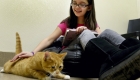 Kids Read To Shelter Cats To Help Them Socialise. “Story Tails” Shelter Program