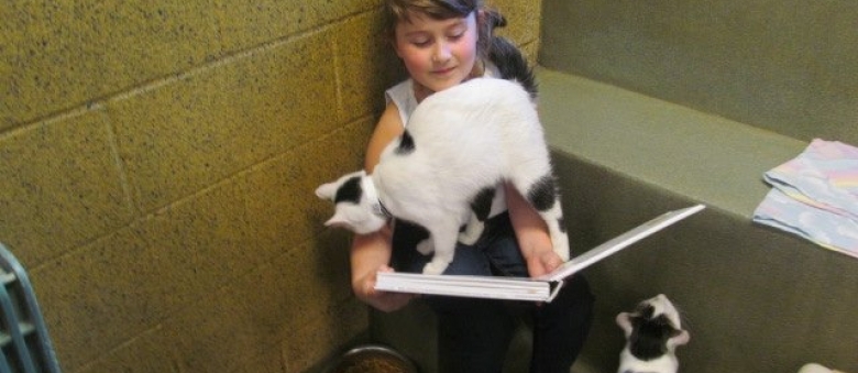 How to Teach Kids to Love Animals – Kids Read to Shelter Cats Cute Video