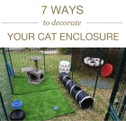 7 Ways To Decorate Your Cat Enclosure