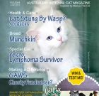 Ozzi Cat Magazine: Issue #4 | Winter 2013