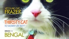 Ozzi Cat Magazine: Issue #5 | Spring 2013