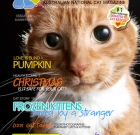 Ozzi Cat – Australian National Cat Magazine – Issue 6 | SUMMER 2013