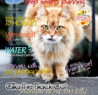 Ozzi Cat – Australian National Cat Magazine – Issue 7 | AUTUMN 2014