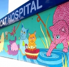 Perth Cat Hospital Opened With Beautiful Cat Mural On Walls