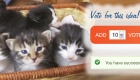 Receiving a Grant: Vote for 2nd Chance Cat Rescue