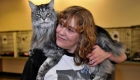 The World’s Longest Domestic Cat Stewie Lost Battle to Cancer