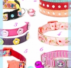 6 Popular Cute Easter Cat Collars. What Collar Is Best For a Cat?
