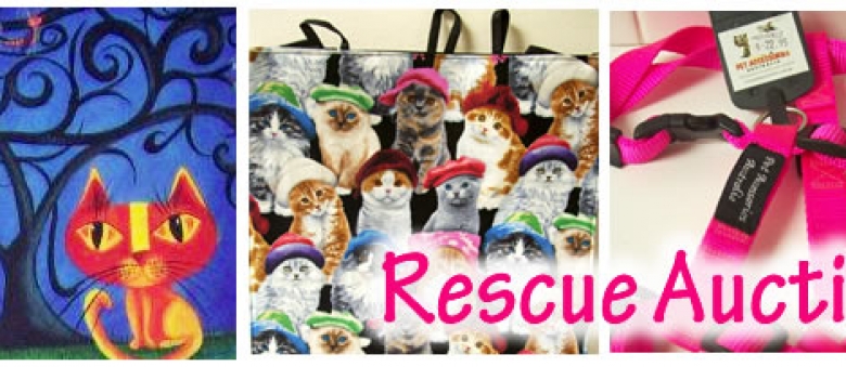 Winter Appeal for Victorian Animal Rescue Groups: Auction to Help Cats