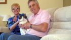 Bizarre Cat Missing Story: Cat Lost and Found 27km Away from Home in Sofa Donated to Charity