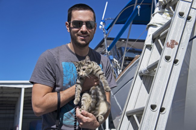 Boat cat Georgie - travels the world sailing