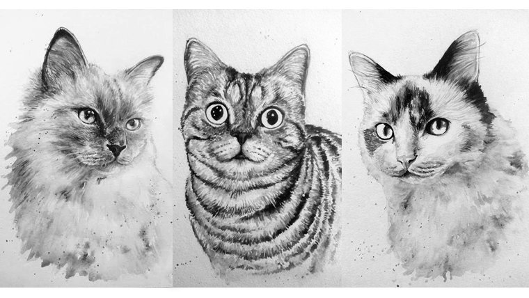 Artist Braden Duncan - Watercolour Cat Drawings - Cat Portrait - ClockWorkArt