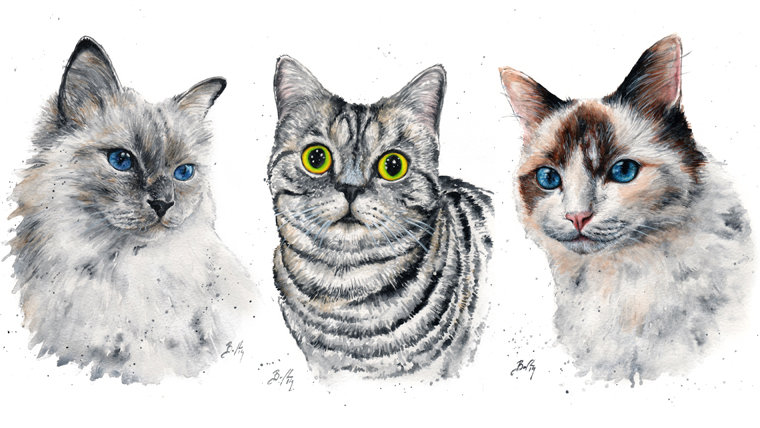 Artist Braden Duncan - Watercolour Cat Drawings - Cat Portrait - ClockWorkArt