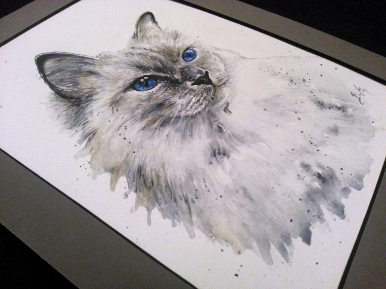 Artist Braden Duncan - Watercolour Cat Drawings - Cat Portrait - ClockWorkArt