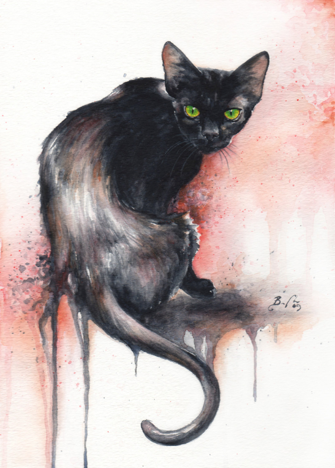 Artist Braden Duncan - Watercolour Cat Drawings - Cat Portrait - ClockWorkArt