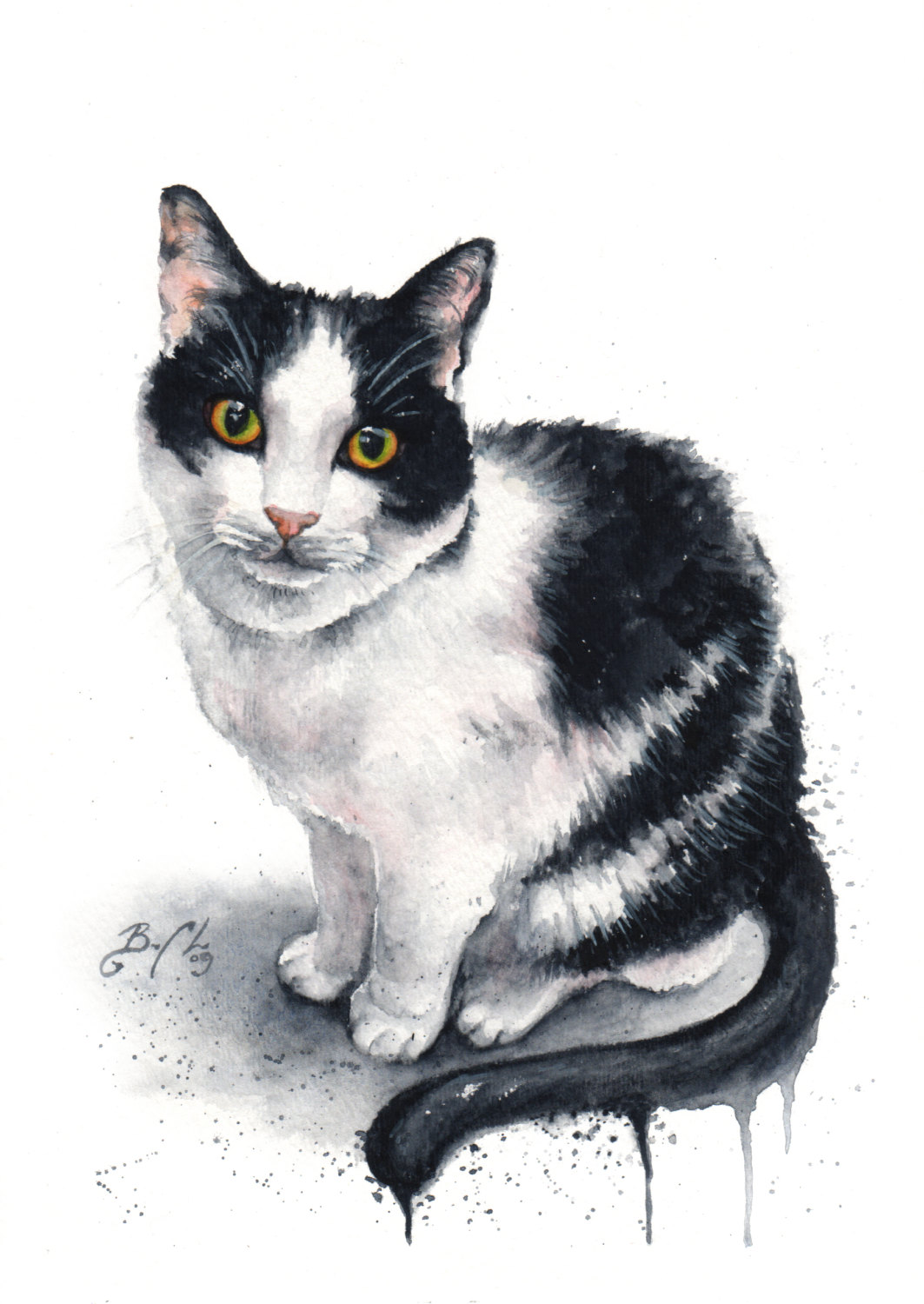 Artist Braden Duncan - Watercolour Cat Drawings - Cat Portrait - ClockWorkArt