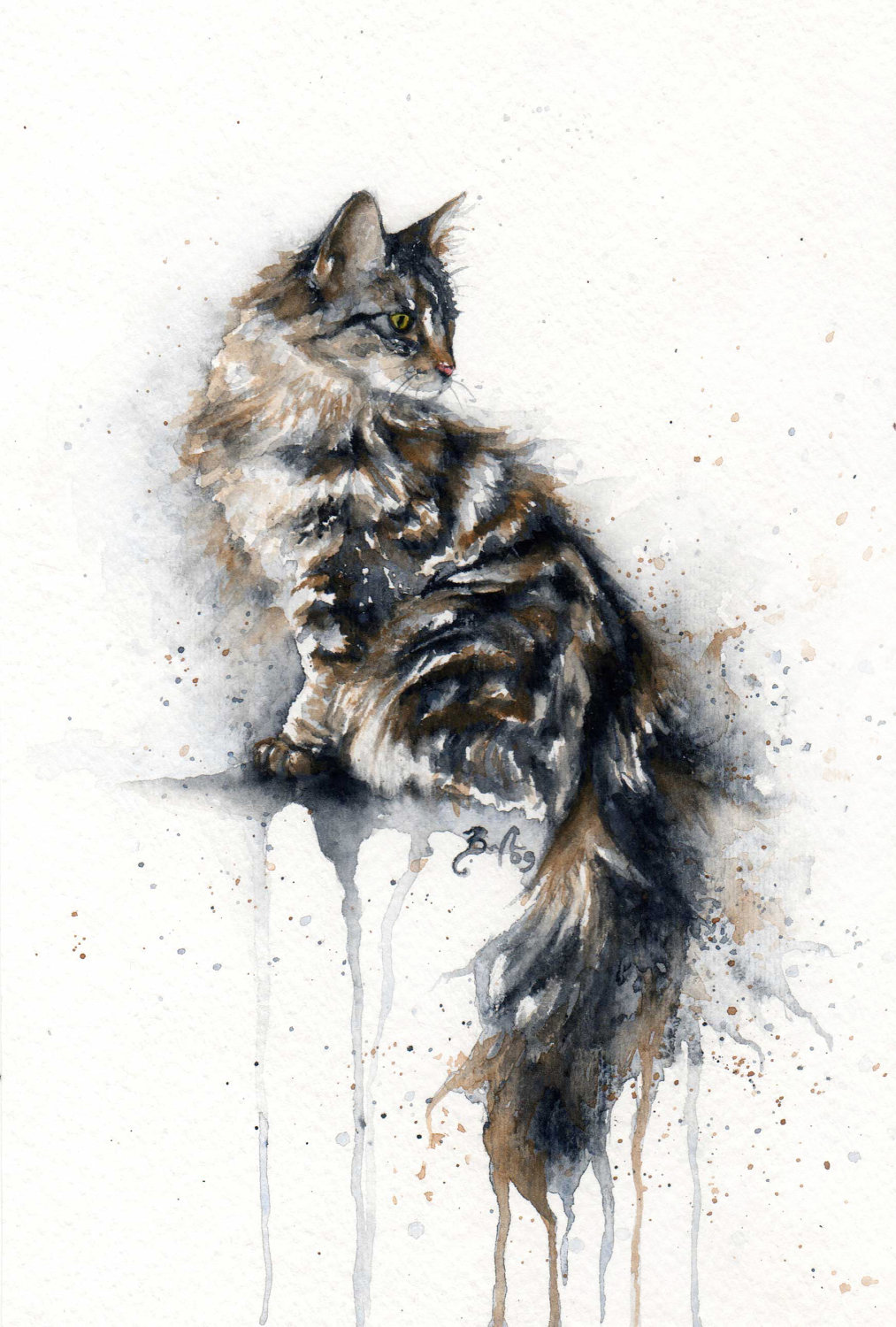 15 Amazing Watercolour Cat Drawings And Cat Portraits By Artist Braden