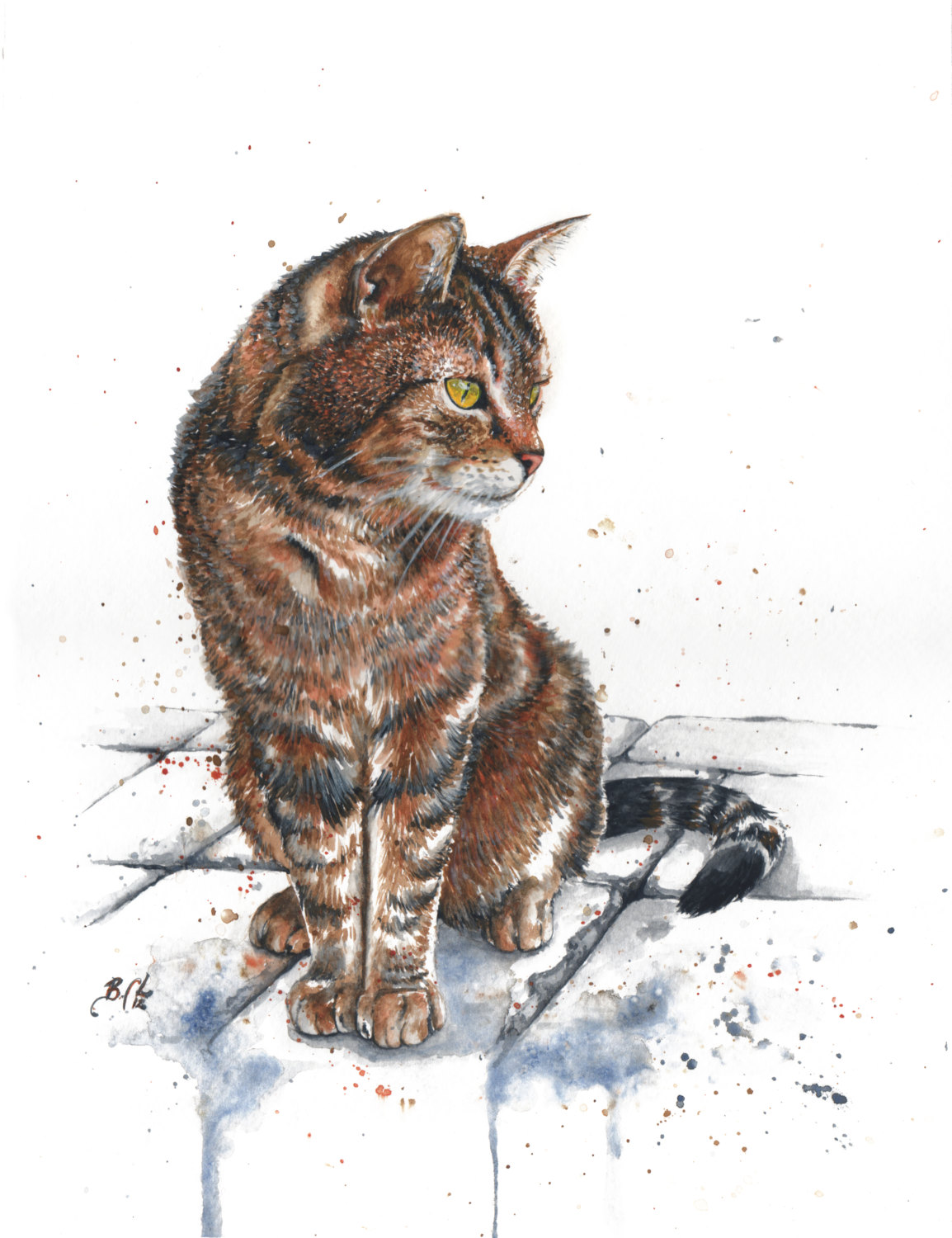 Artist Braden Duncan - Watercolour Cat Drawings - Cat Portrait - ClockWorkArt